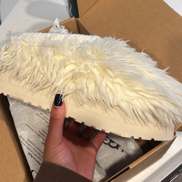 SOLD: Fluff Momma Sugar Tasman - Picture 4 of 5